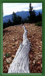 Philmont (163) * 2592 x 4608 * (6.95MB)